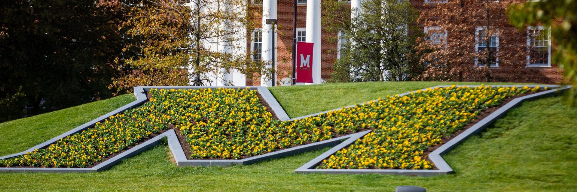 New Picture of Maryland M