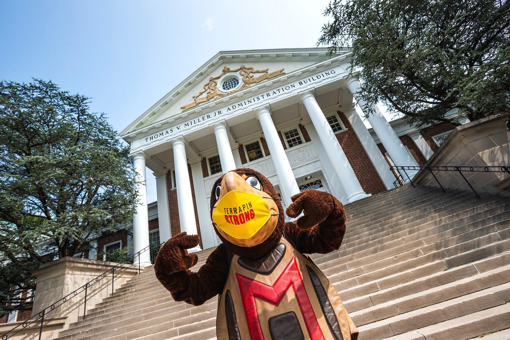 Testudo Mascot in Mask
