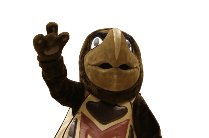 Testudo