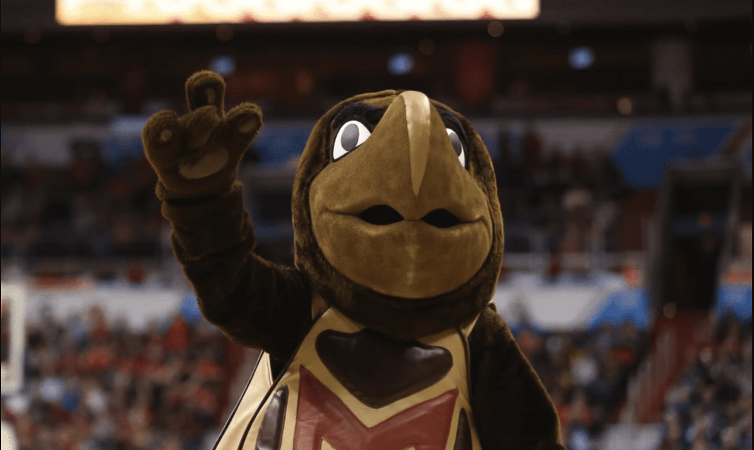 testudo